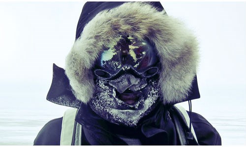 Пуховики Canada Goose