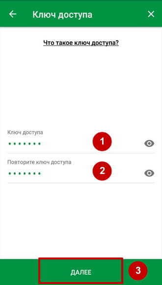 Окно с полями для ввода ключа доступа
