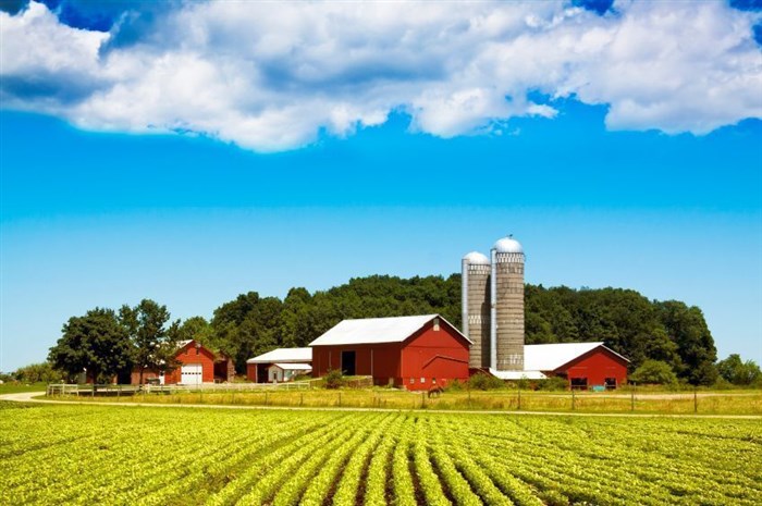 indiana.jpg