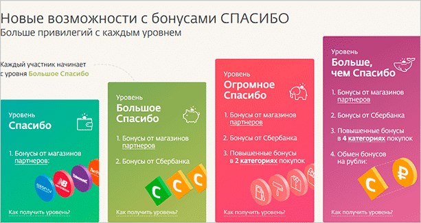 Новые возможности с бонусами